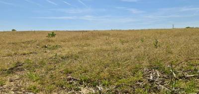 Terrain à Sainte-Marie-de-Gosse en Landes (40) de 810 m² à vendre au prix de 134800€ - 4