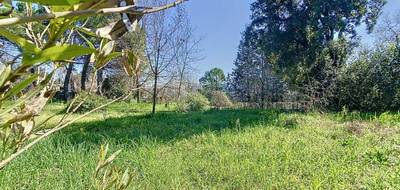 Terrain à La Boissière en Hérault (34) de 2000 m² à vendre au prix de 380000€ - 4
