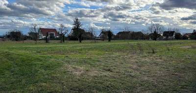 Terrain à Grussenheim en Haut-Rhin (68) de 0 m² à vendre au prix de 27825€ - 3