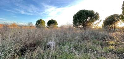 Terrain à Paulhan en Hérault (34) de 0 m² à vendre au prix de 229950€ - 3