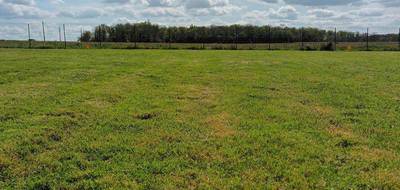 Terrain à Châtillon-la-Palud en Ain (01) de 0 m² à vendre au prix de 95000€ - 3