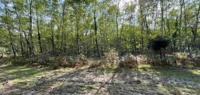 Terrain à Barbaste en Lot-et-Garonne (47) de 0 m² à vendre au prix de 29000€ - 2