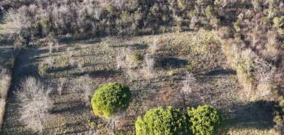 Terrain à Albi en Tarn (81) de 12674 m² à vendre au prix de 139000€ - 4
