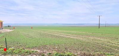 Terrain à Haute-Avesnes en Pas-de-Calais (62) de 0 m² à vendre au prix de 94000€ - 3