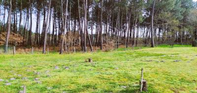 Terrain à Saint-Symphorien en Gironde (33) de 1025 m² à vendre au prix de 99500€ - 2