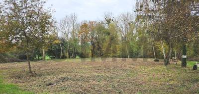 Terrain à Lachapelle-aux-Pots en Oise (60) de 0 m² à vendre au prix de 54000€ - 3