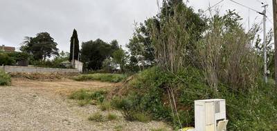 Terrain à Lespignan en Hérault (34) de 0 m² à vendre au prix de 125000€ - 4