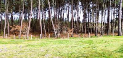 Terrain à Saint-Symphorien en Gironde (33) de 1025 m² à vendre au prix de 99500€ - 1