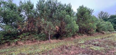 Terrain à Saint-Pé-Saint-Simon en Lot-et-Garonne (47) de 0 m² à vendre au prix de 210000€ - 3