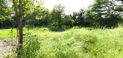 Terrain à Dogneville en Vosges (88) de 0 m² à vendre au prix de 65000€ - 3