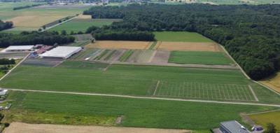 Terrain à Bindernheim en Bas-Rhin (67) de 0 m² à vendre au prix de 98430€ - 3