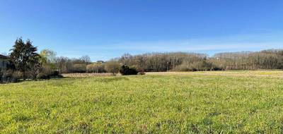 Terrain à Amou en Landes (40) de 0 m² à vendre au prix de 55000€ - 2