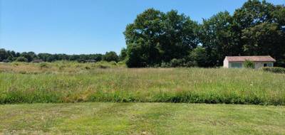 Terrain à Villeneuve-de-Marsan en Landes (40) de 0 m² à vendre au prix de 79000€ - 3