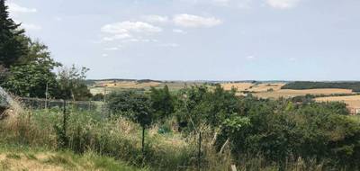 Terrain à Molleville en Aude (11) de 0 m² à vendre au prix de 65000€ - 3