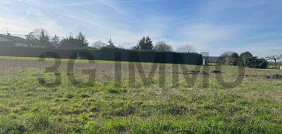 Terrain à Langon en Gironde (33) de 0 m² à vendre au prix de 69000€ - 2