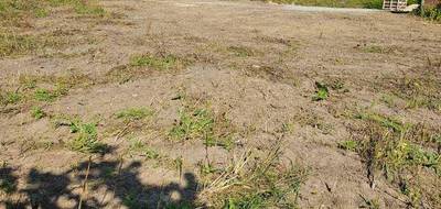 Terrain à Vadencourt en Aisne (02) de 0 m² à vendre au prix de 17000€ - 2