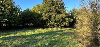 Terrain à Houdan en Yvelines (78) de 34 m² à vendre au prix de 145000€ - 1
