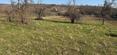 Terrain à Orschwihr en Haut-Rhin (68) de 0 m² à vendre au prix de 62825€ - 4
