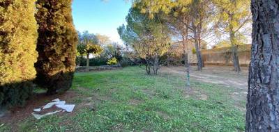 Terrain à Abeilhan en Hérault (34) de 1000 m² à vendre au prix de 149000€ - 2