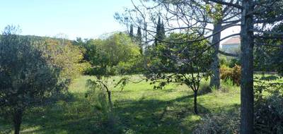 Terrain à Lorgues en Var (83) de 1000 m² à vendre au prix de 230000€ - 3