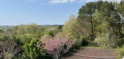 Terrain à Arbonne en Pyrénées-Atlantiques (64) de 0 m² à vendre au prix de 479850€ - 1
