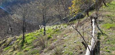 Terrain à Belvédère en Alpes-Maritimes (06) de 2080 m² à vendre au prix de 27000€ - 4