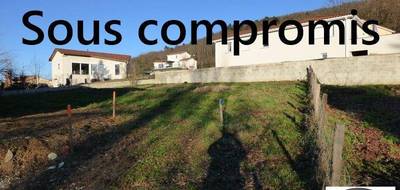 Terrain à Bellegarde-en-Forez en Loire (42) de 0 m² à vendre au prix de 49000€ - 1