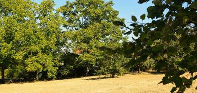 Terrain à Saint-Médard-en-Forez en Loire (42) de 0 m² à vendre au prix de 124500€ - 3