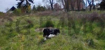 Terrain à Plancy-l'Abbaye en Aube (10) de 0 m² à vendre au prix de 32000€ - 2