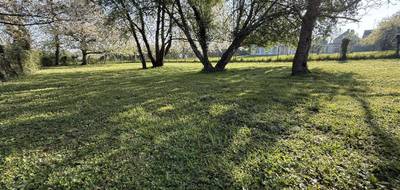 Terrain à Villeblevin en Yonne (89) de 0 m² à vendre au prix de 55000€ - 4
