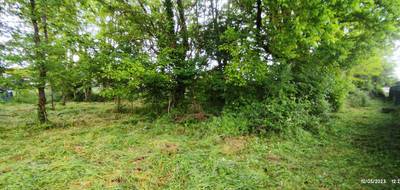 Terrain à Langon en Gironde (33) de 0 m² à vendre au prix de 51000€ - 4