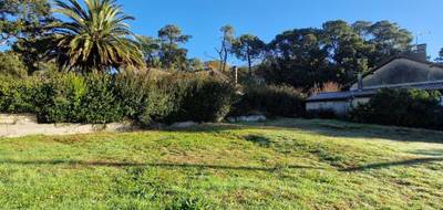 Terrain à Boucau en Pyrénées-Atlantiques (64) de 0 m² à vendre au prix de 229000€ - 1