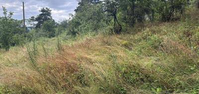 Terrain à Aurec-sur-Loire en Haute-Loire (43) de 0 m² à vendre au prix de 90000€ - 3