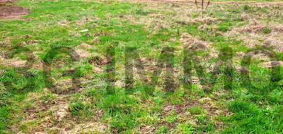 Terrain à Corbeil-Cerf en Oise (60) de 0 m² à vendre au prix de 84500€ - 3