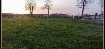 Terrain à Uzein en Pyrénées-Atlantiques (64) de 0 m² à vendre au prix de 74980€ - 3