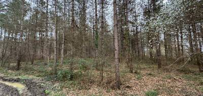 Terrain à Barbaste en Lot-et-Garonne (47) de 0 m² à vendre au prix de 37500€ - 3