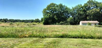 Terrain à Villeneuve-de-Marsan en Landes (40) de 0 m² à vendre au prix de 79000€ - 4