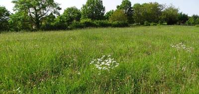 Terrain à L'Isle-Jourdain en Gers (32) de 0 m² à vendre au prix de 139000€ - 1