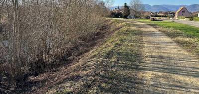 Terrain à Ribeauvillé en Haut-Rhin (68) de 0 m² à vendre au prix de 95000€ - 3
