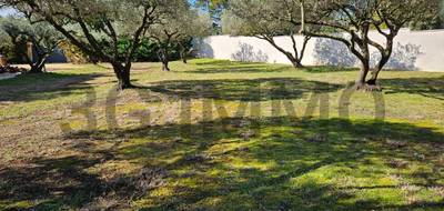 Terrain à Uzès en Gard (30) de 920 m² à vendre au prix de 242000€ - 3