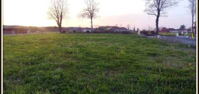 Terrain à Uzein en Pyrénées-Atlantiques (64) de 0 m² à vendre au prix de 75370€ - 2