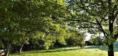 Terrain à Saint-Médard-en-Forez en Loire (42) de 0 m² à vendre au prix de 124500€ - 4