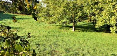 Terrain à Saint-Médard-en-Forez en Loire (42) de 0 m² à vendre au prix de 124500€ - 1