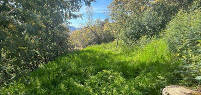 Terrain à Ocana en Corse-du-Sud (2A) de 0 m² à vendre au prix de 135000€ - 4