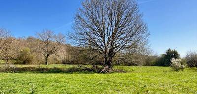 Terrain à Amou en Landes (40) de 0 m² à vendre au prix de 54000€ - 4