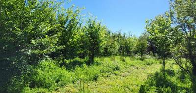 Terrain à Uzès en Gard (30) de 1754 m² à vendre au prix de 175000€ - 1