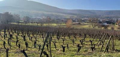Terrain à Orschwihr en Haut-Rhin (68) de 0 m² à vendre au prix de 62825€ - 1