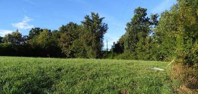 Terrain à L'Isle-Jourdain en Gers (32) de 0 m² à vendre au prix de 92000€ - 4