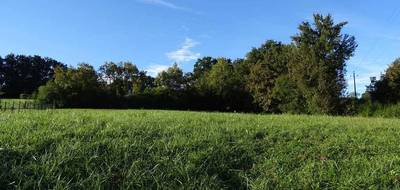 Terrain à L'Isle-Jourdain en Gers (32) de 0 m² à vendre au prix de 92000€ - 3