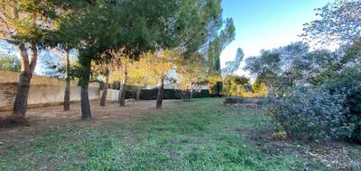 Terrain à Abeilhan en Hérault (34) de 1000 m² à vendre au prix de 149000€ - 3